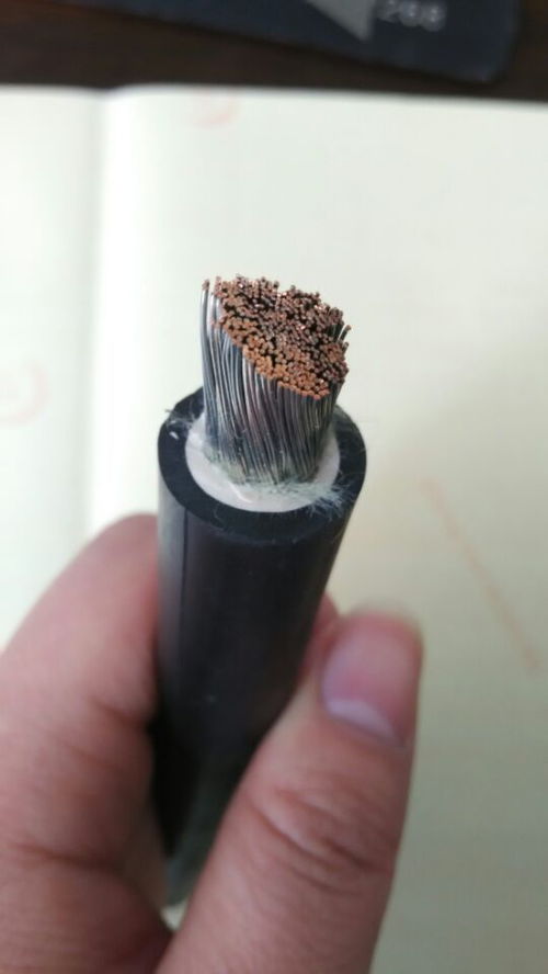 聚焦電力建設(shè) 1kV鋁芯架空線及特種電纜的技術(shù)發(fā)展與市場動態(tài)